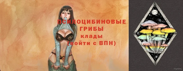 соль ск Белоозёрский
