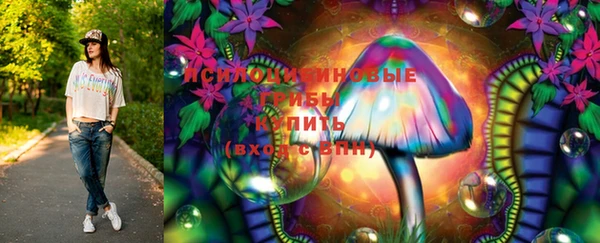 марки nbome Белокуриха