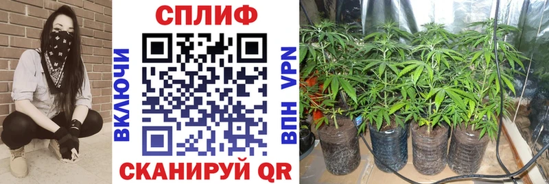 mega ТОР  Буйнакск  Каннабис SATIVA & INDICA 